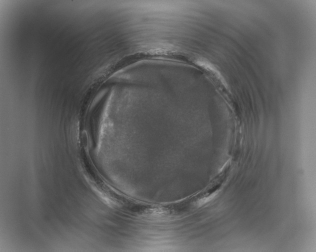 X0000074040589200609181954