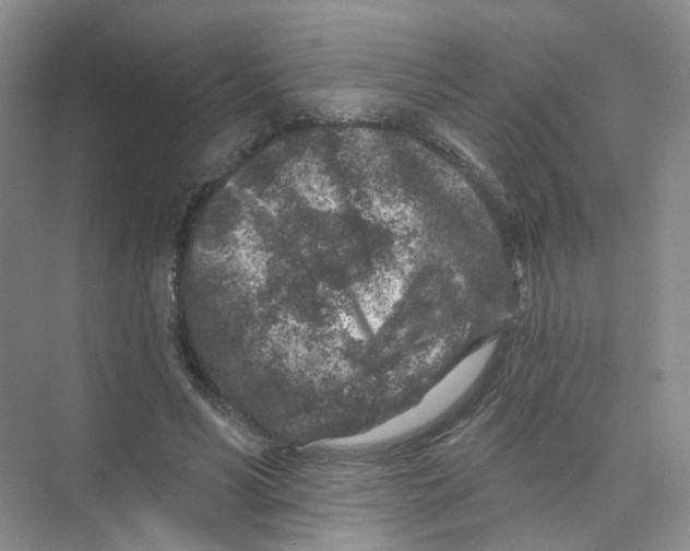 X0000074040590200609181954