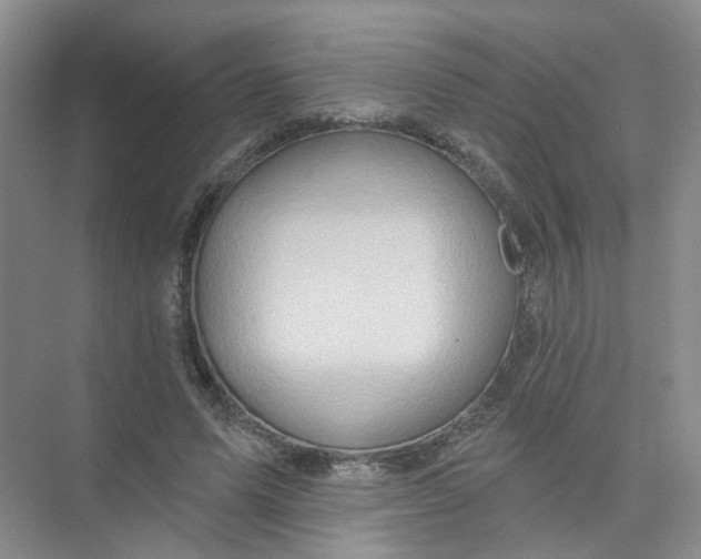 X0000074040591200609181954