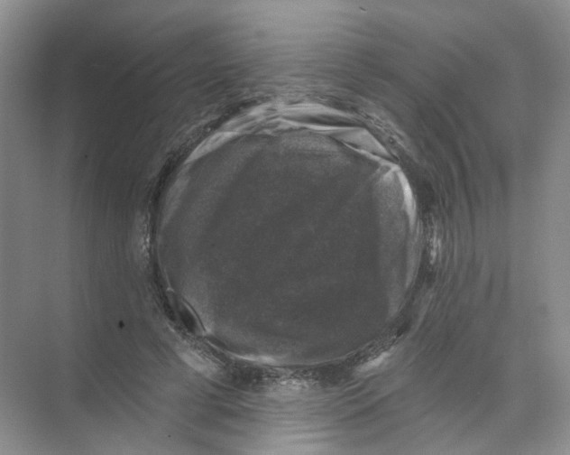 X0000074040593200609181954