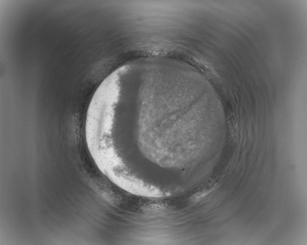 X0000074040594200609181954