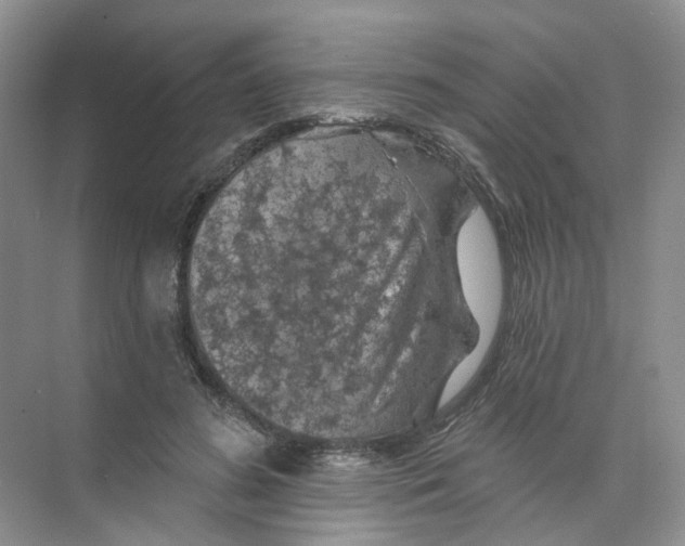 X0000074040596200609181954