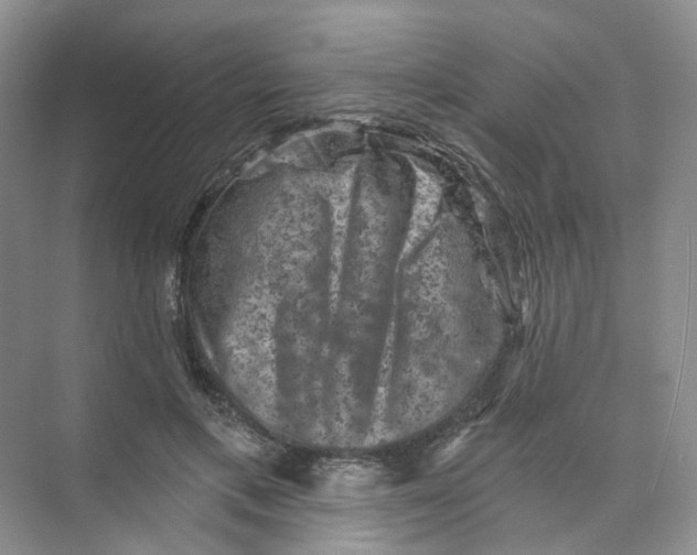 X0000074040597200609181954