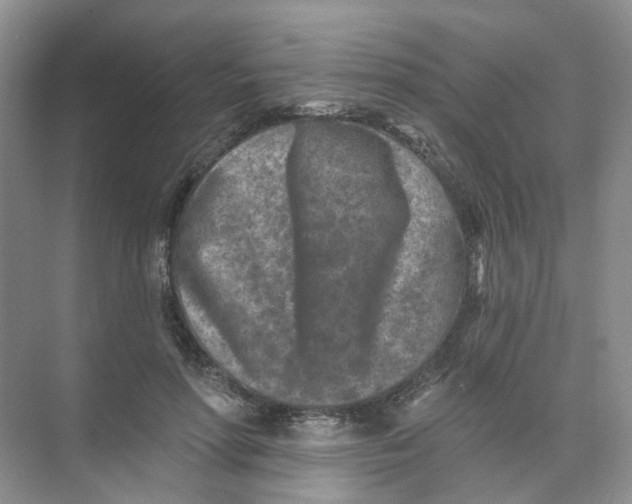 X0000074040598200609181954