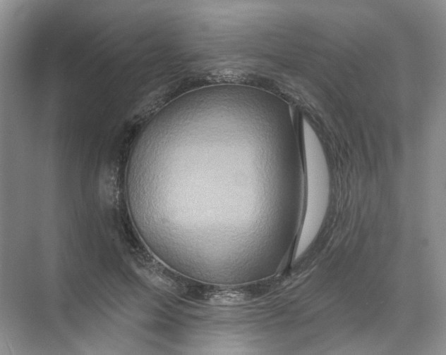 X0000074040599200609181954