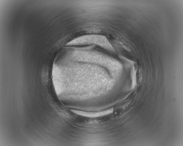 X0000074040600200609181954