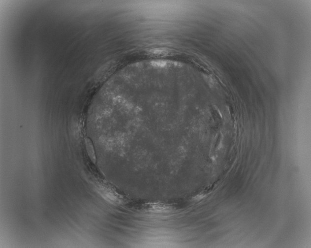 X0000074040601200609181954