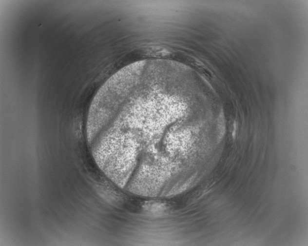 X0000074040602200609181954