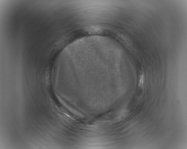 X0000074040604200609181954