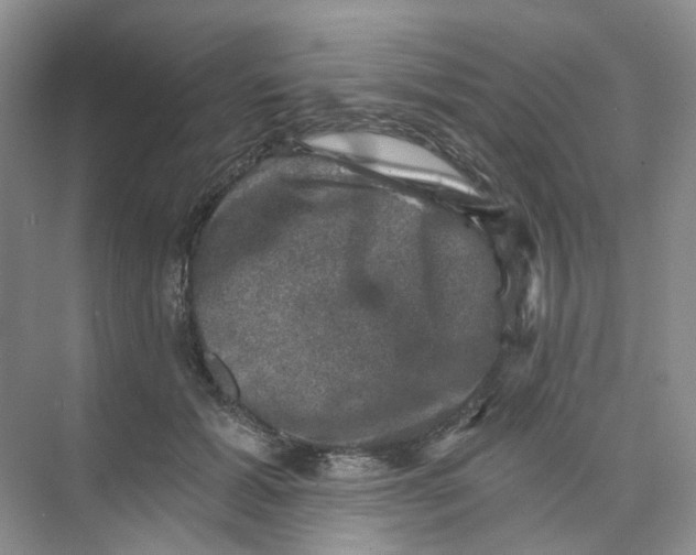 X0000074040605200609181954