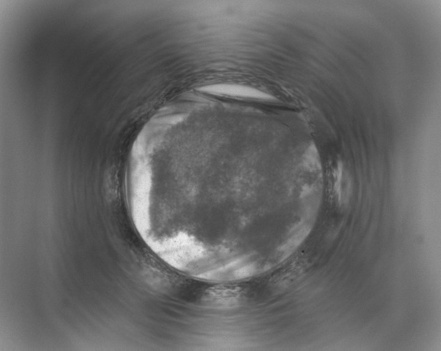 X0000074040606200609181954