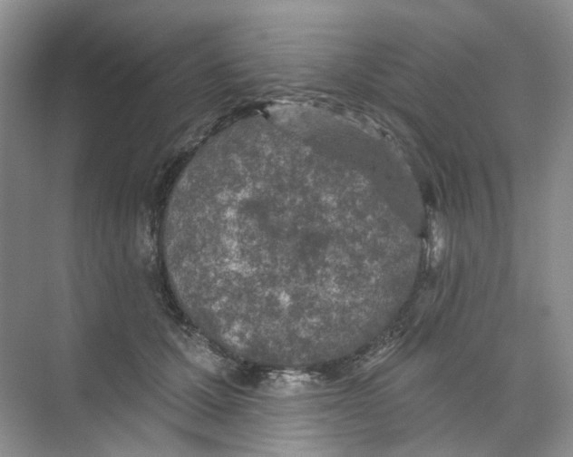 X0000074040607200609181954