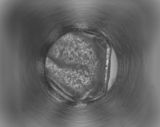 X0000074040609200609181954