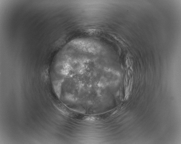 X0000074040611200609181954