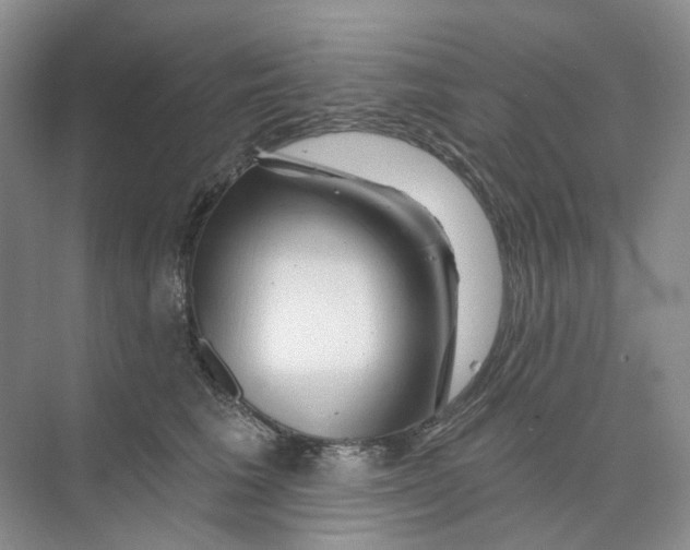 X0000074040613200609181954