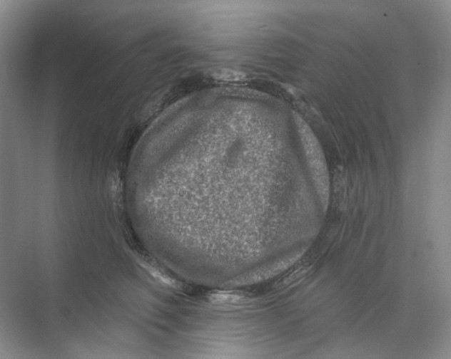 X0000074040614200609181954