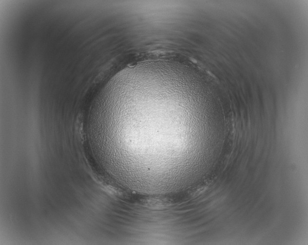 X0000074040615200609181954