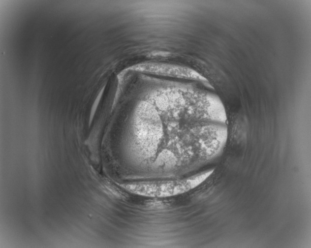 X0000074040616200609181954