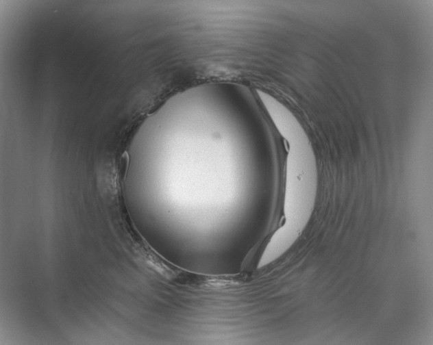 X0000074040617200609181954