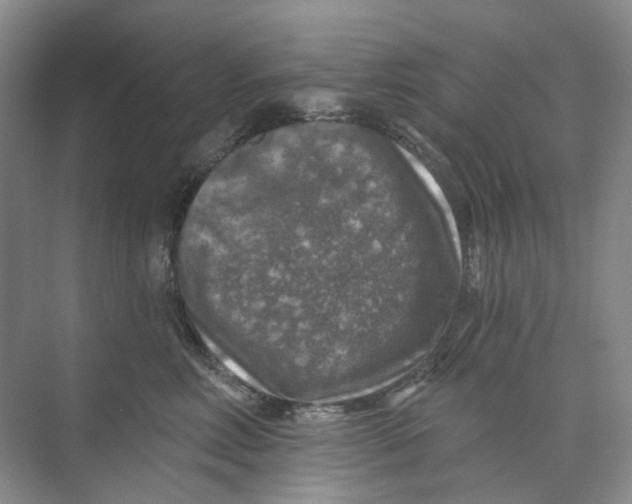 X0000074040618200609181954