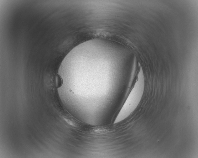 X0000074040619200609181954