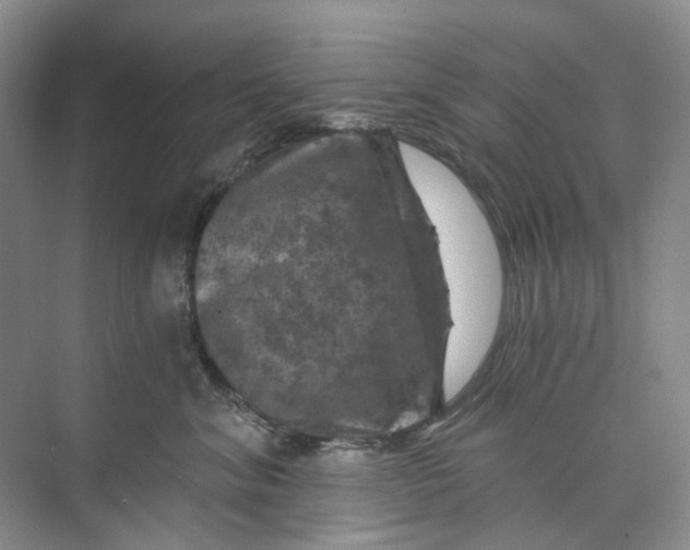 X0000074040620200609181954