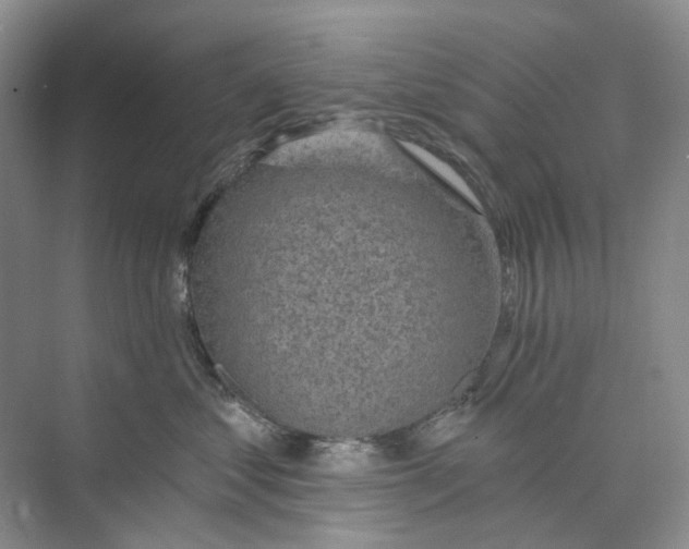 X0000074040621200609181954