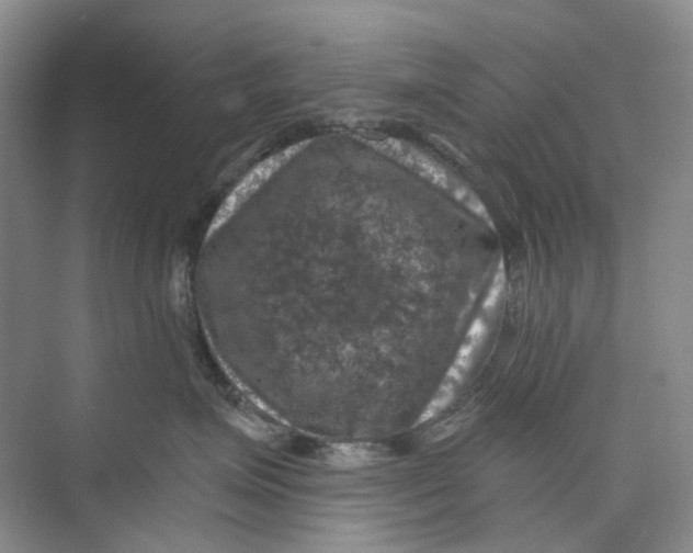 X0000074040623200609181954