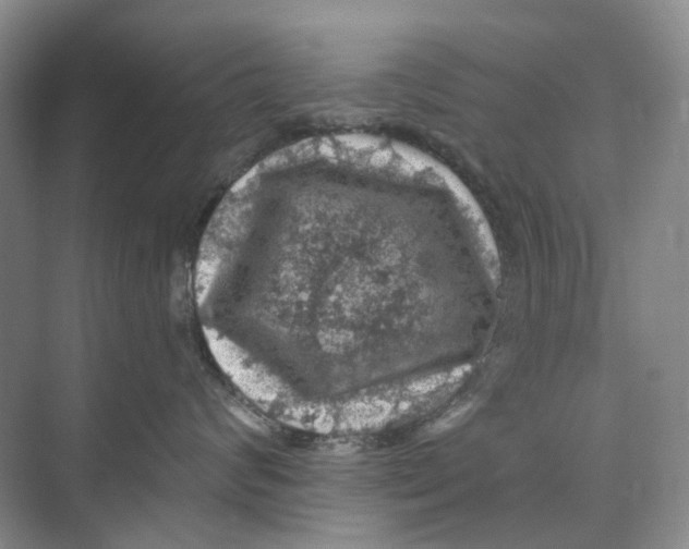 X0000074040624200609181954