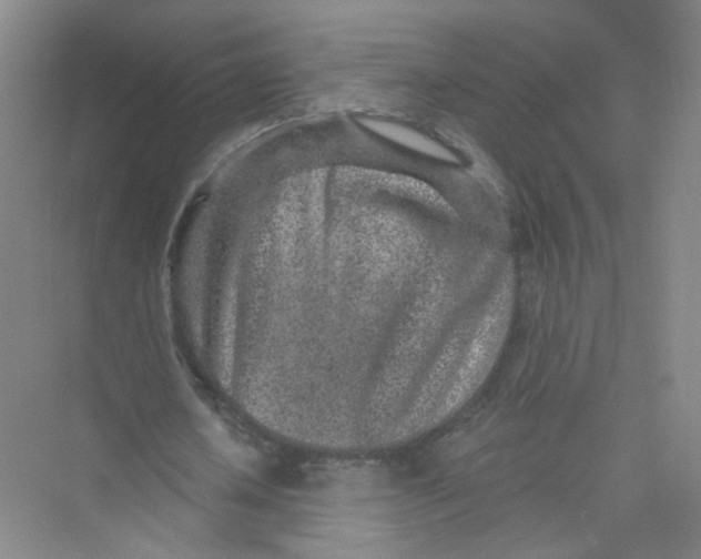 X0000074040626200609181953