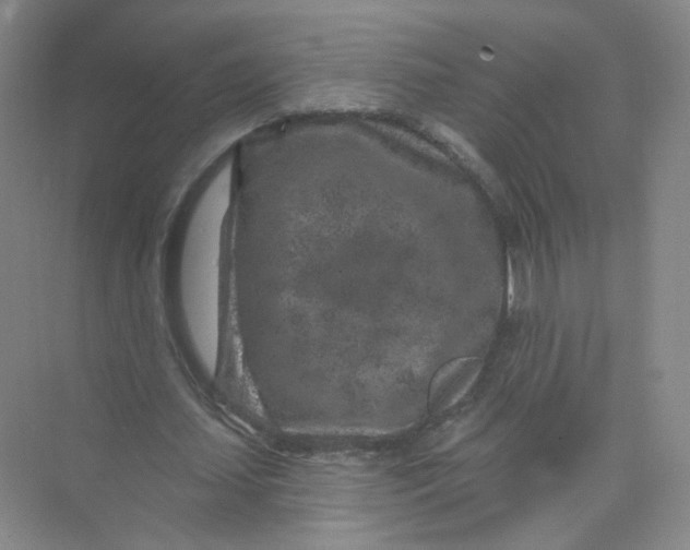 X0000074040627200609181953