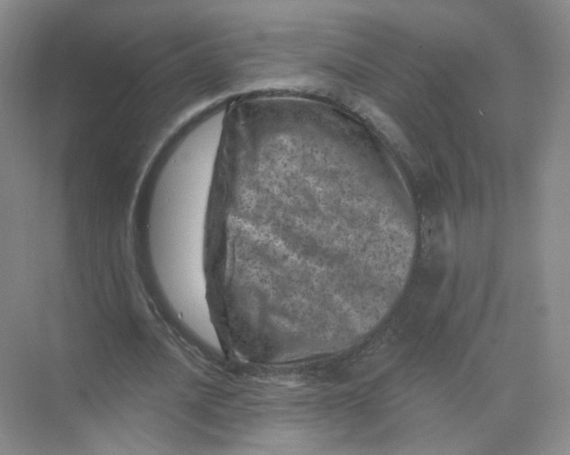 X0000074040628200609181953