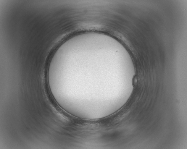 X0000074040629200609181953