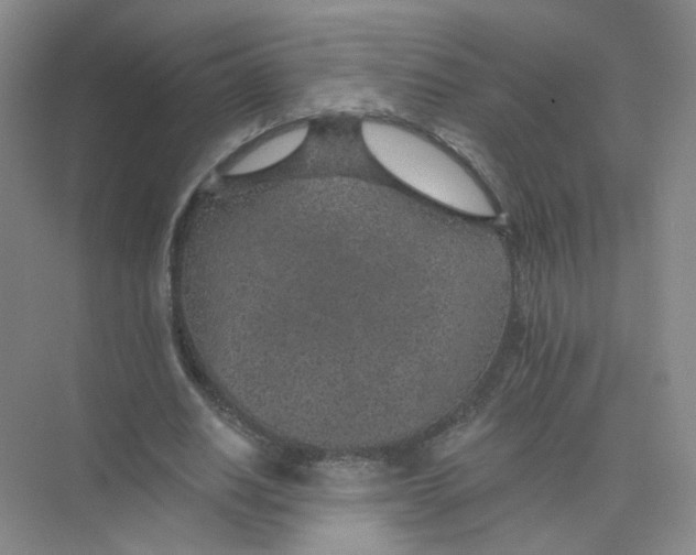 X0000074040630200609181953