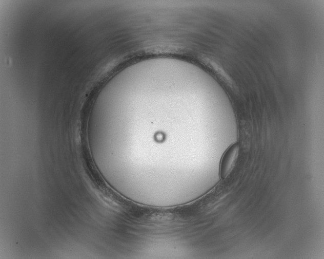 X0000074040631200609181953