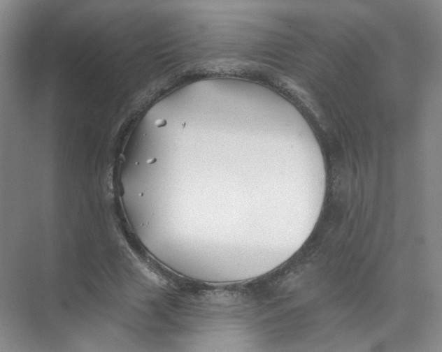 X0000074040633200609181953