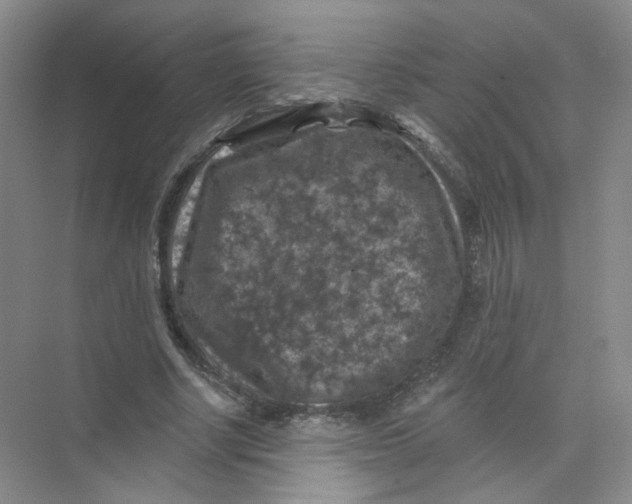 X0000074040634200609181953