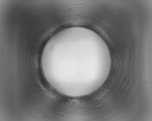 X0000074040635200609181953