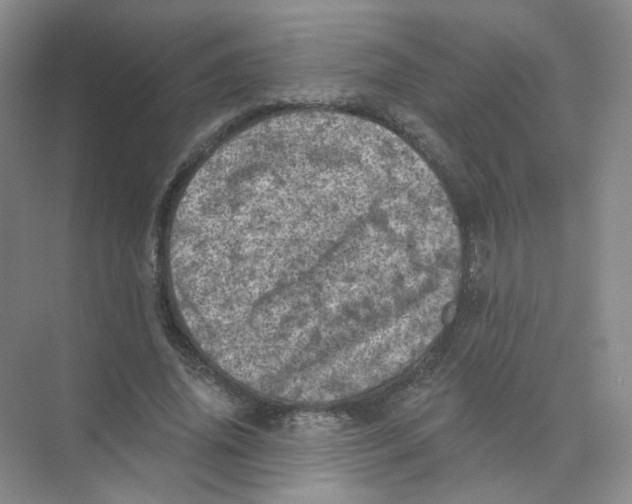 X0000074040636200609181953