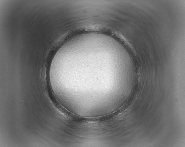 X0000074040637200609181953