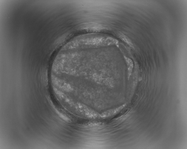 X0000074040638200609181953