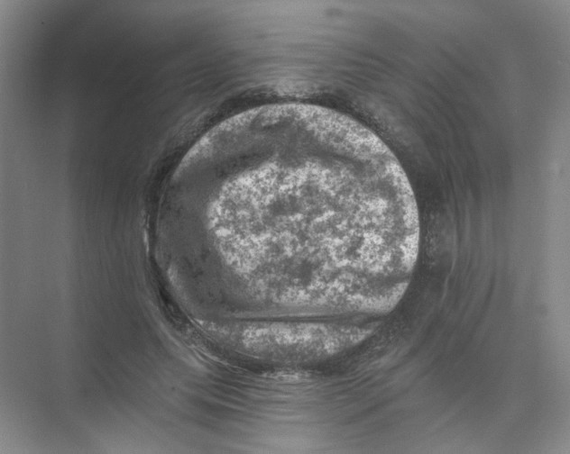 X0000074040639200609181953