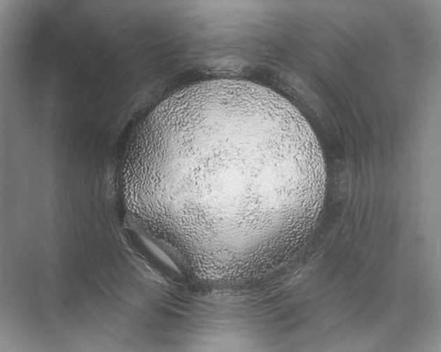 X0000074040641200609181953