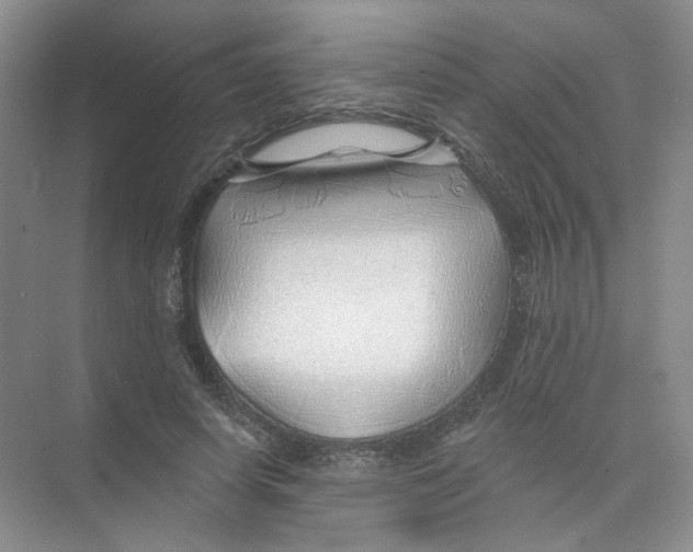 X0000074040642200609181953