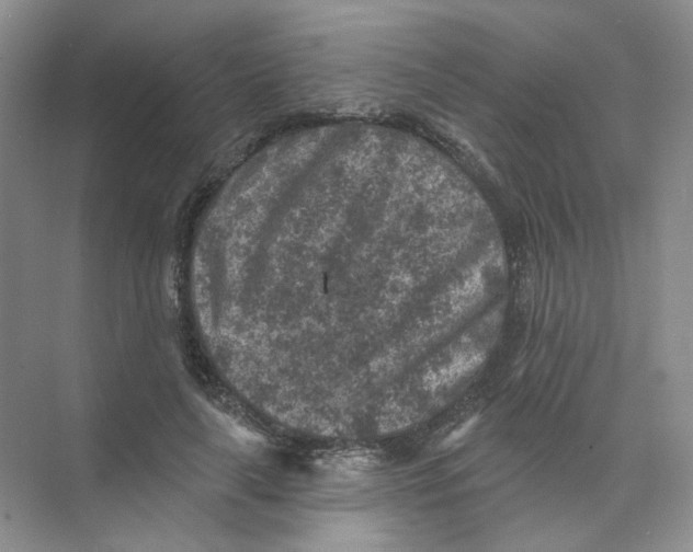 X0000074040643200609181953