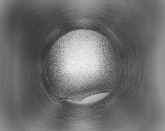 X0000074040644200609181953