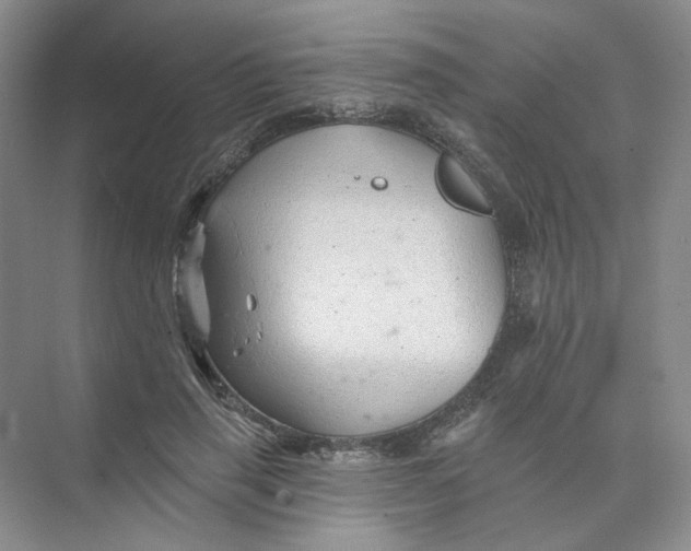 X0000074040645200609181953