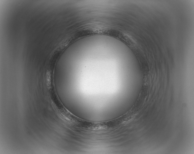 X0000074040646200609181953