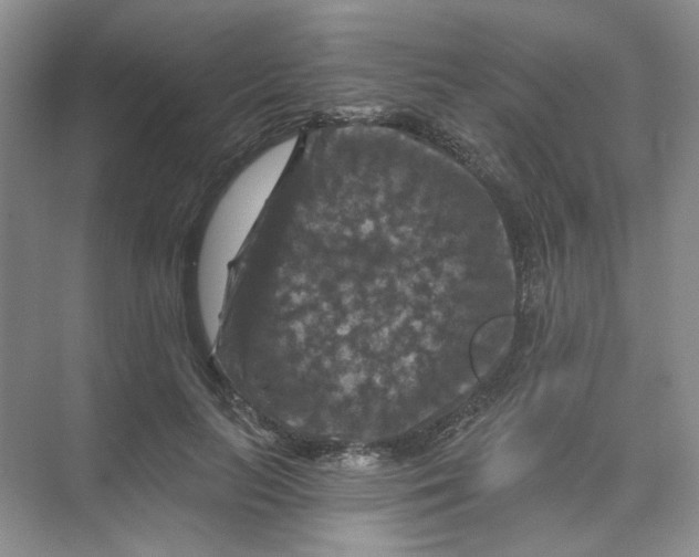 X0000074040647200609181953