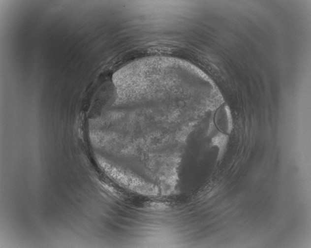 X0000074040649200609181953